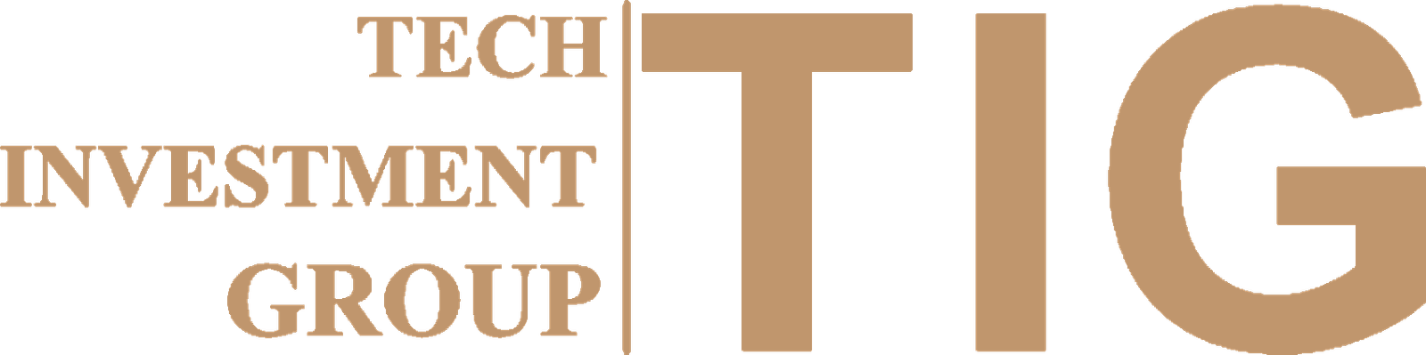 Tech Investment Group